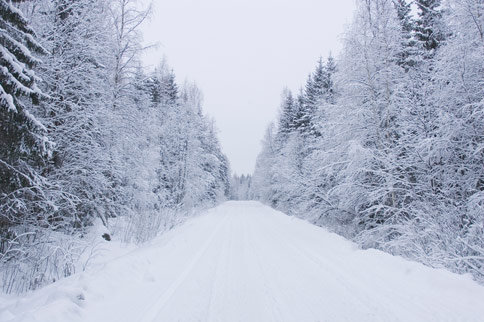 Snow covered road